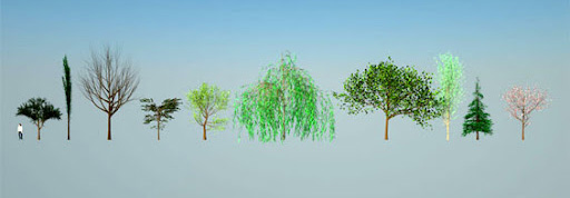 3D Tree Maker
