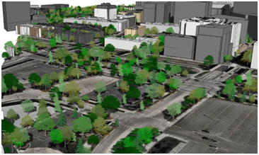 Trees Placemaker